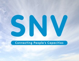 snv